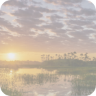 Find your local chapter.