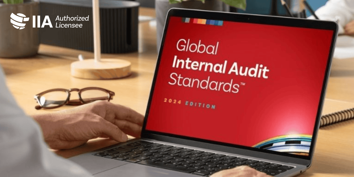 Looking at internal audit standards on laptop