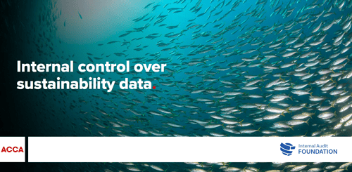 Internal control over sustainability data